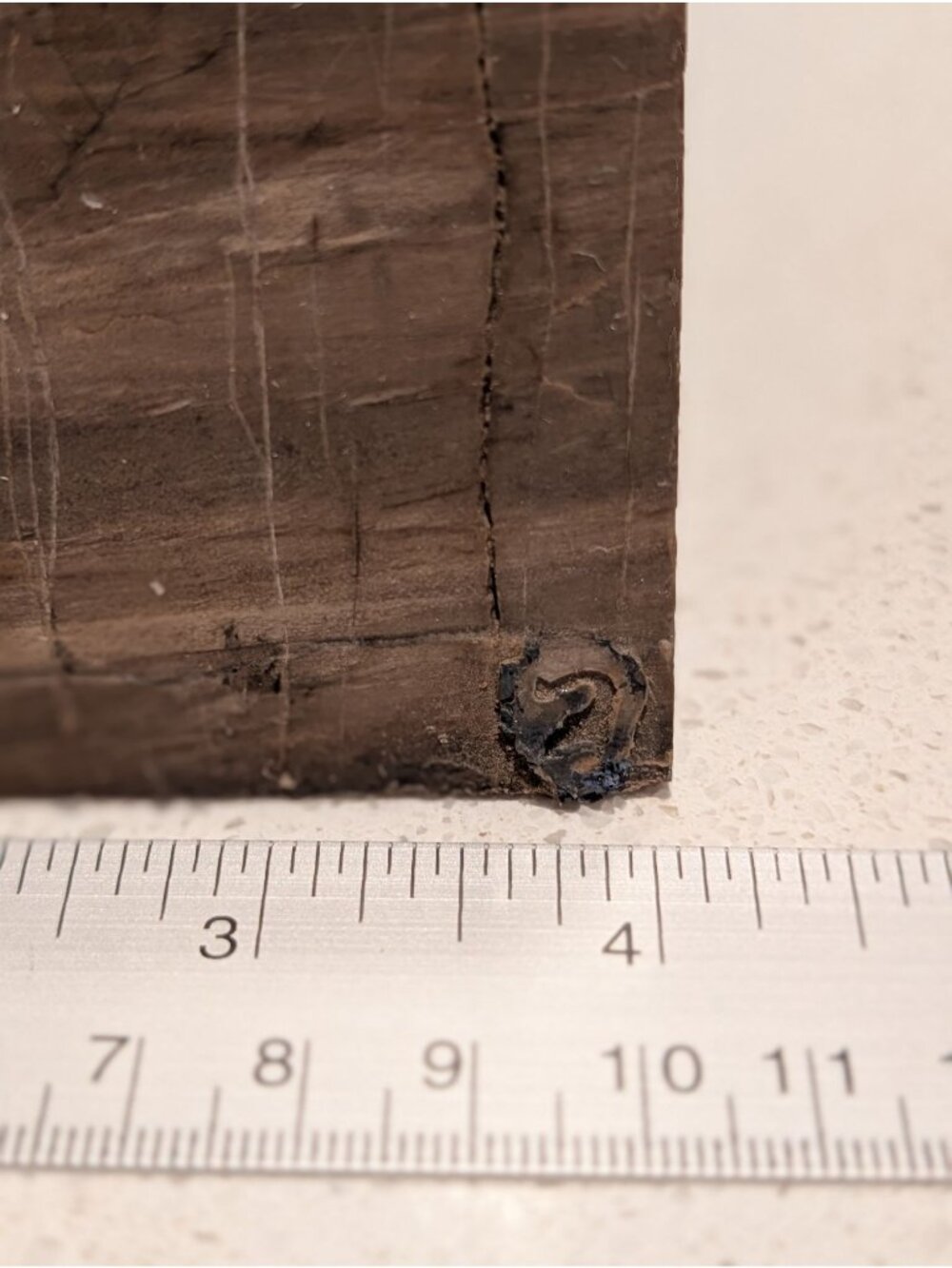 Petrified Wood Bookends Fossilized Tree Rings Natural Mineral Patterns 6" Rustic - Picture 14 of 16